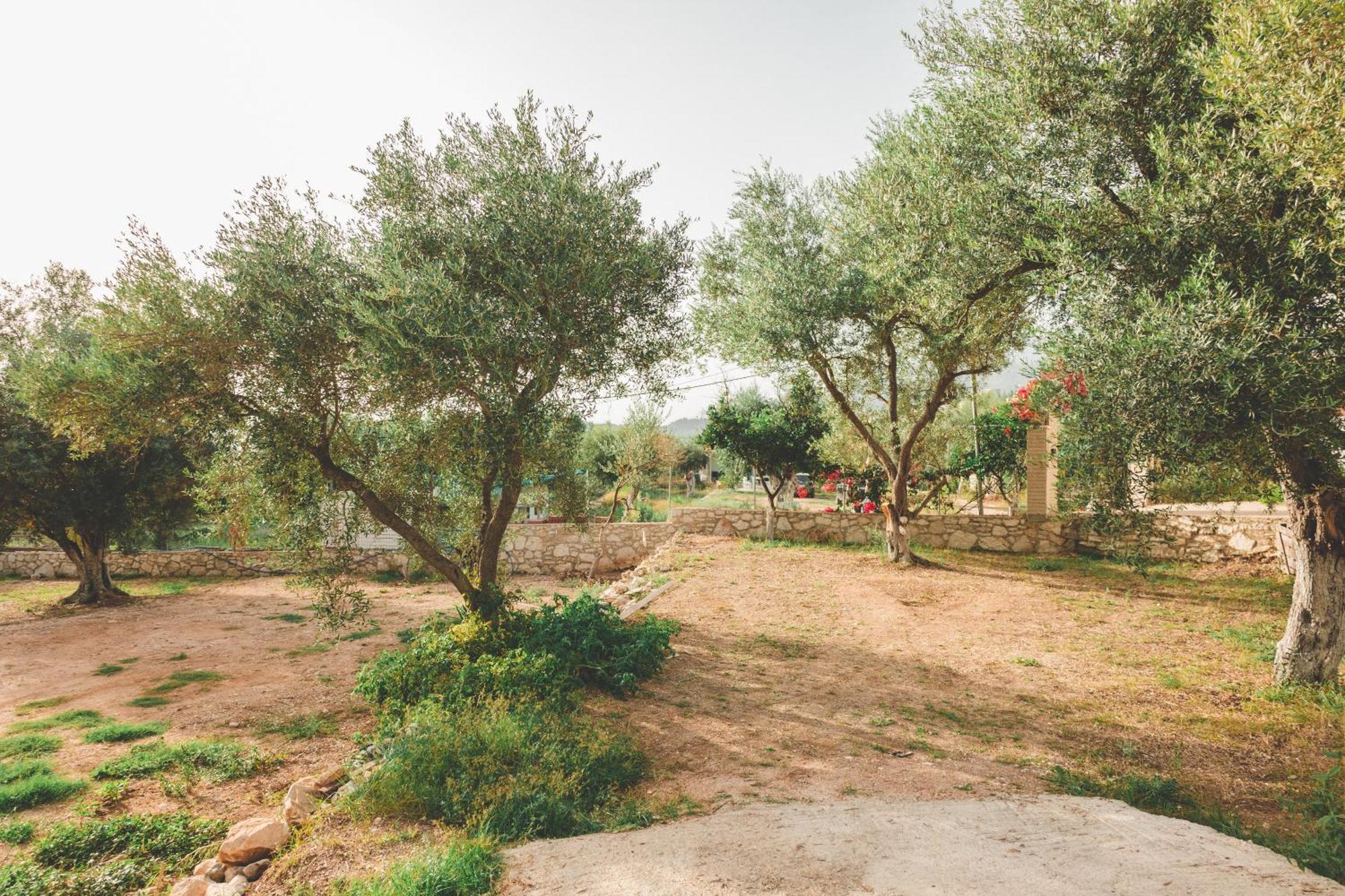 Olive Camping Himare Ngoại thất bức ảnh