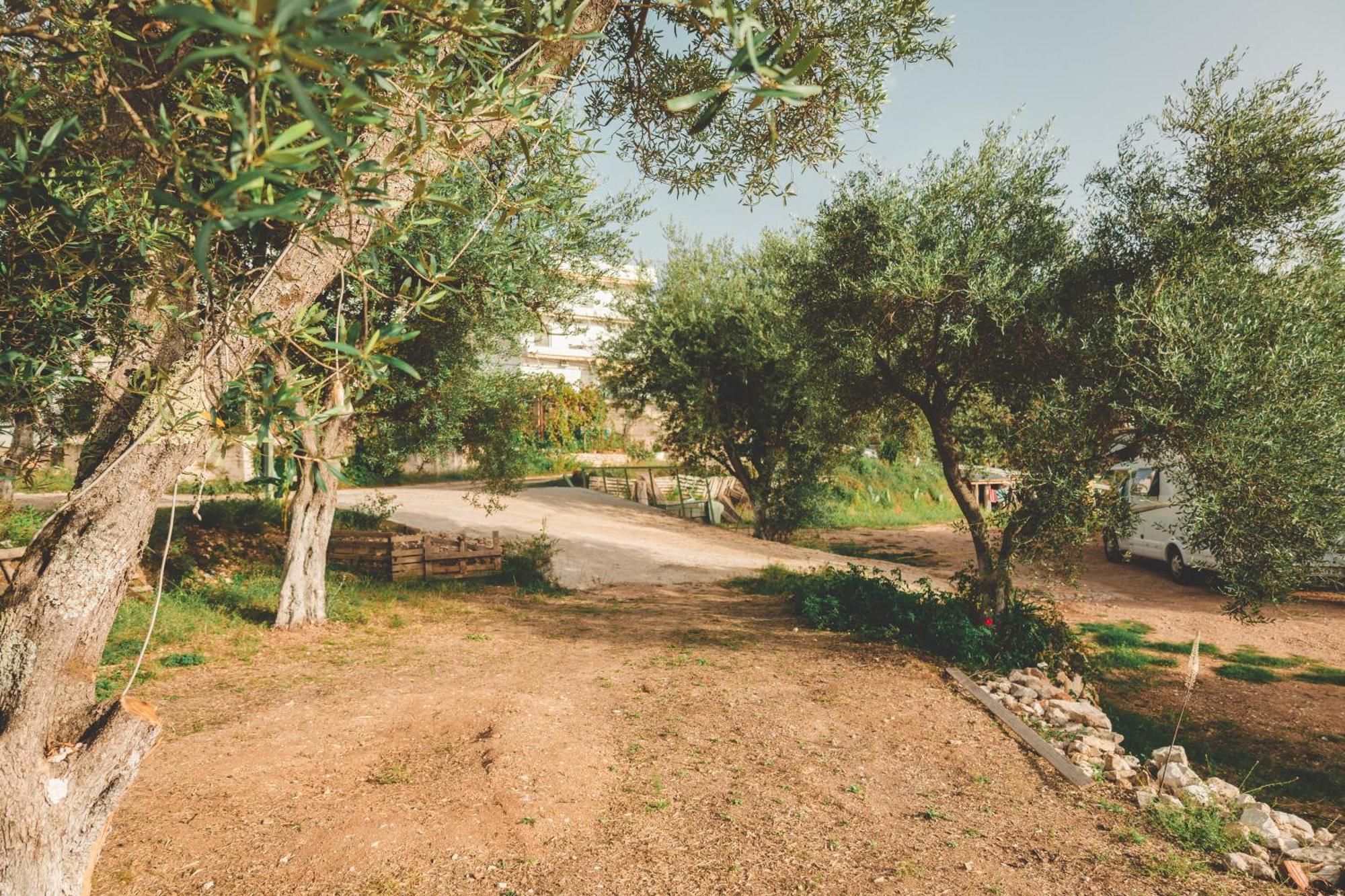 Olive Camping Himare Ngoại thất bức ảnh
