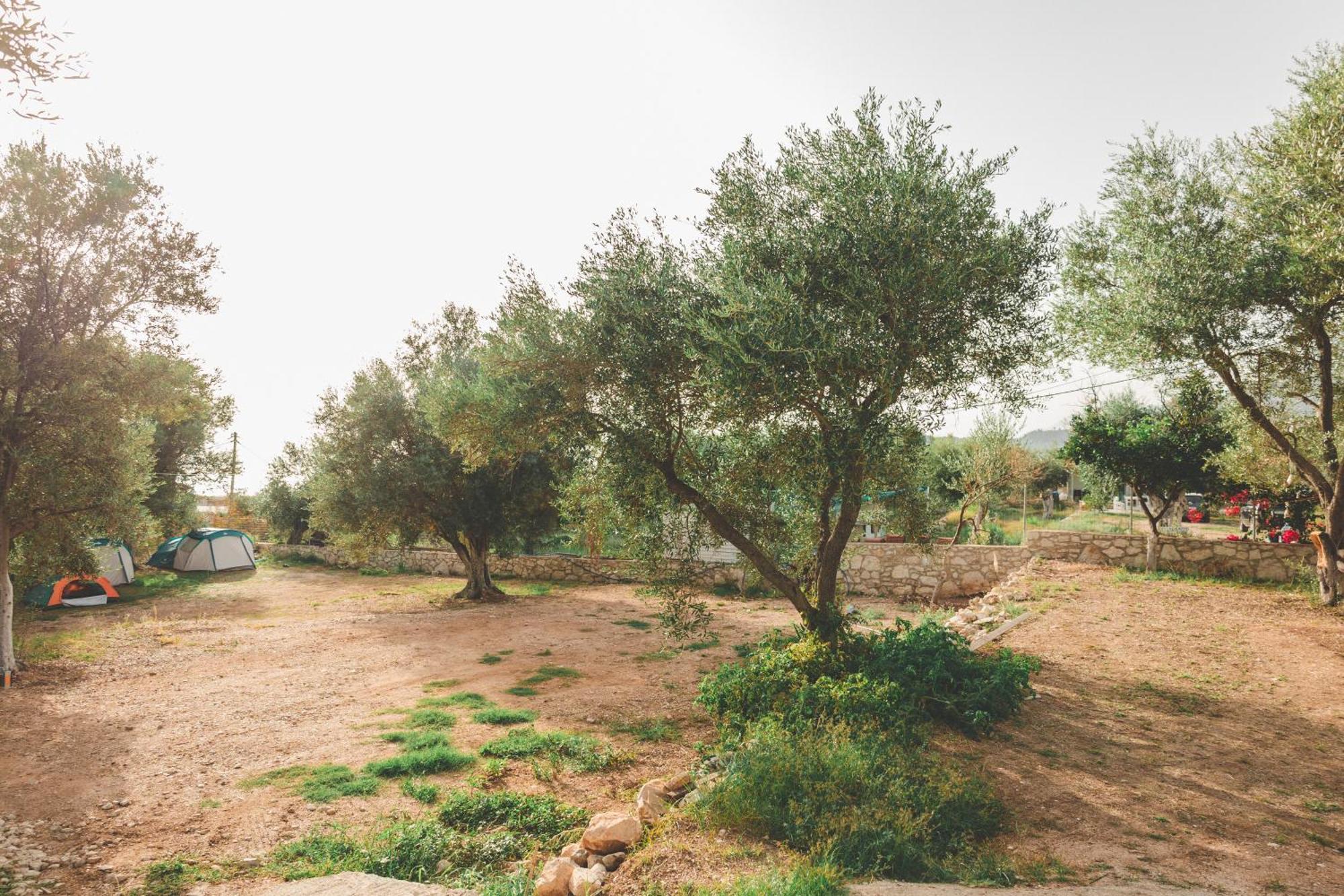 Olive Camping Himare Ngoại thất bức ảnh