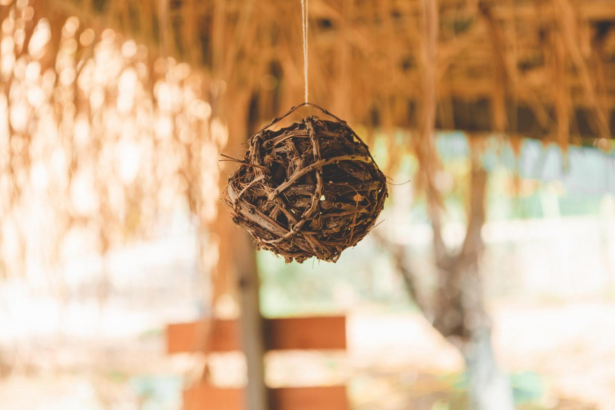 Olive Camping Himare Ngoại thất bức ảnh